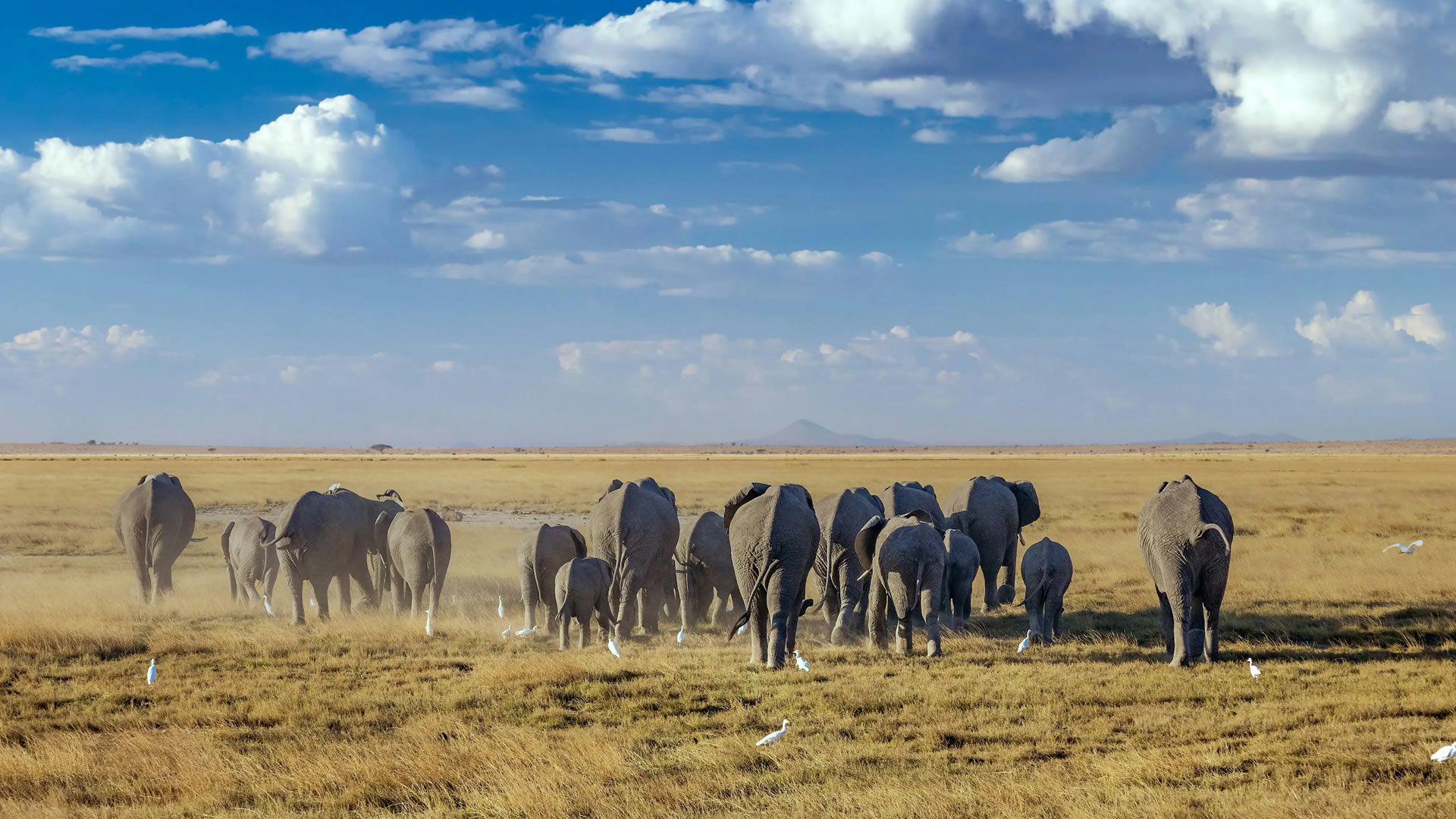 Amboseli National Park