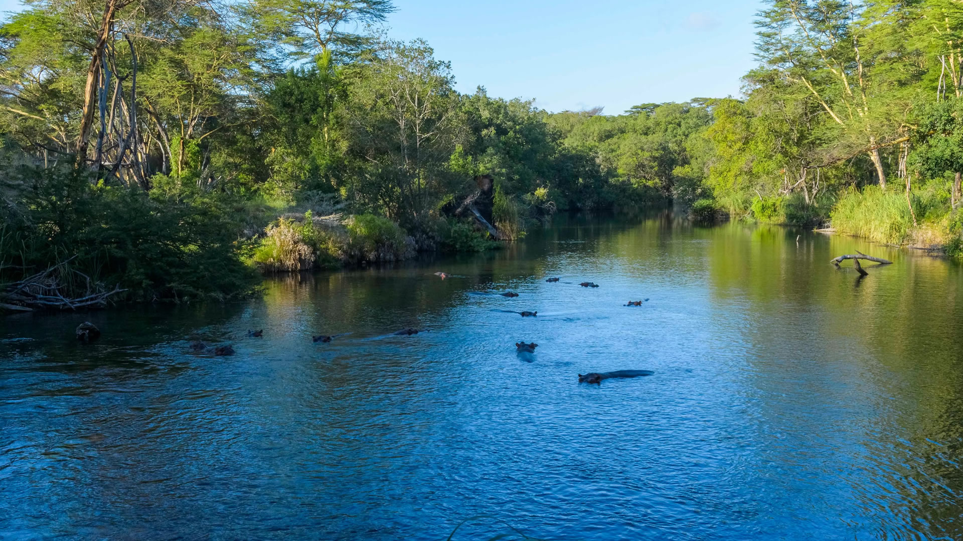  Tsavo West National Park