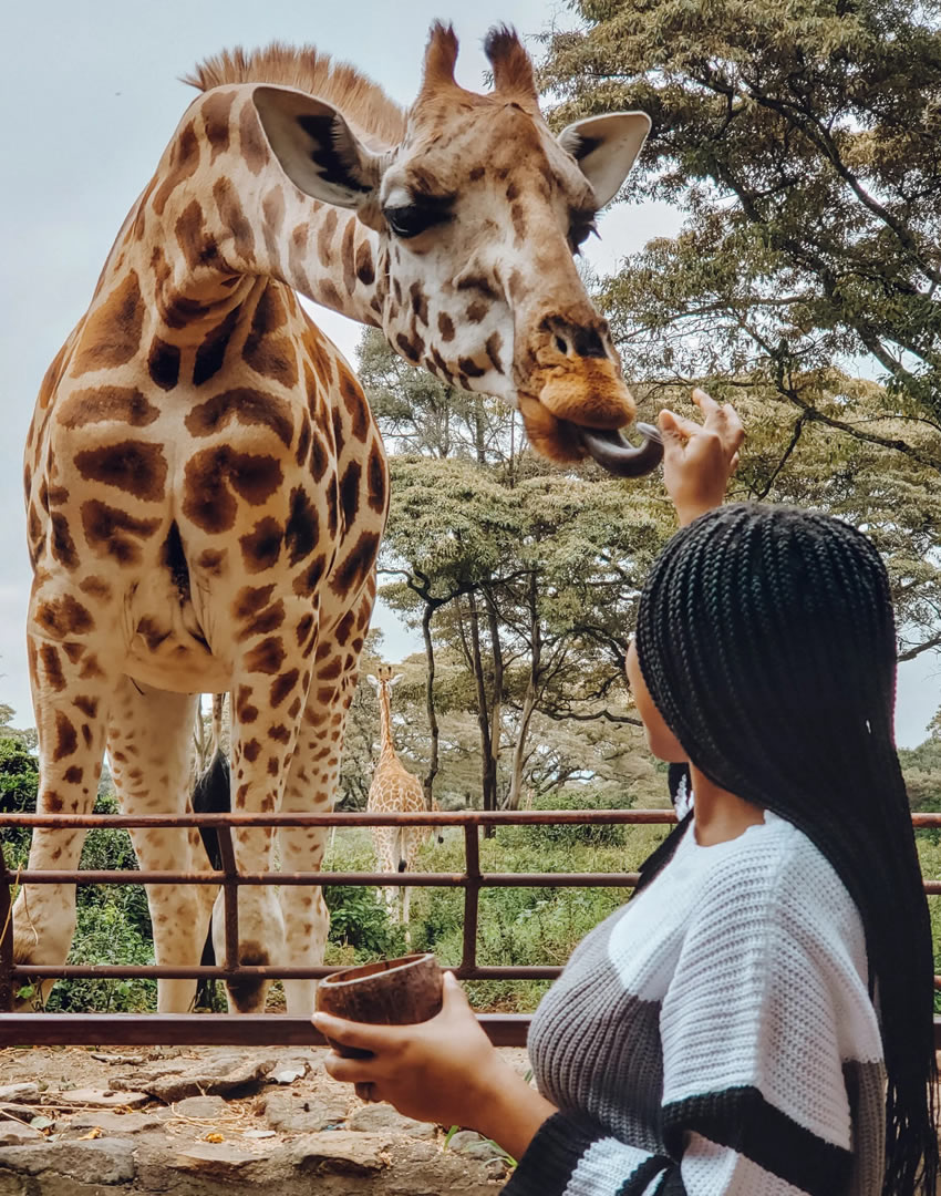 giraffe center nairobi