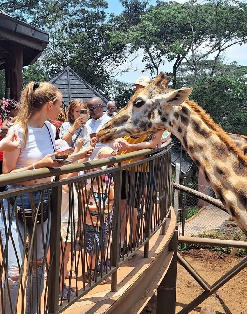 Giraffe Center Nairobi