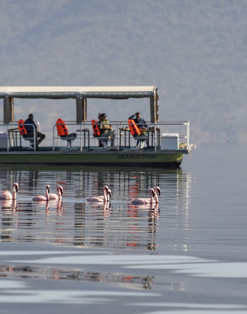 Daytrip to Lake Nakuru National Park