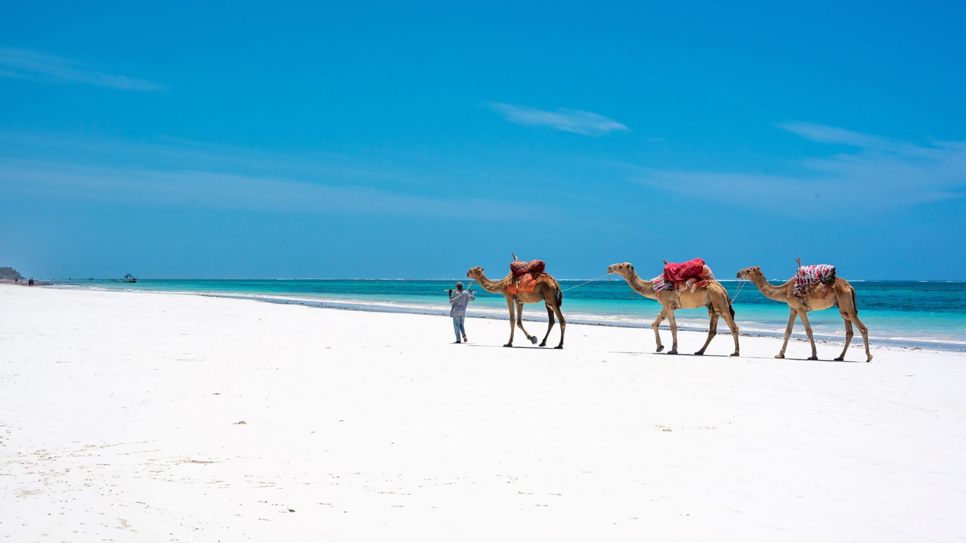 10 Days Bush and Beach Expedition