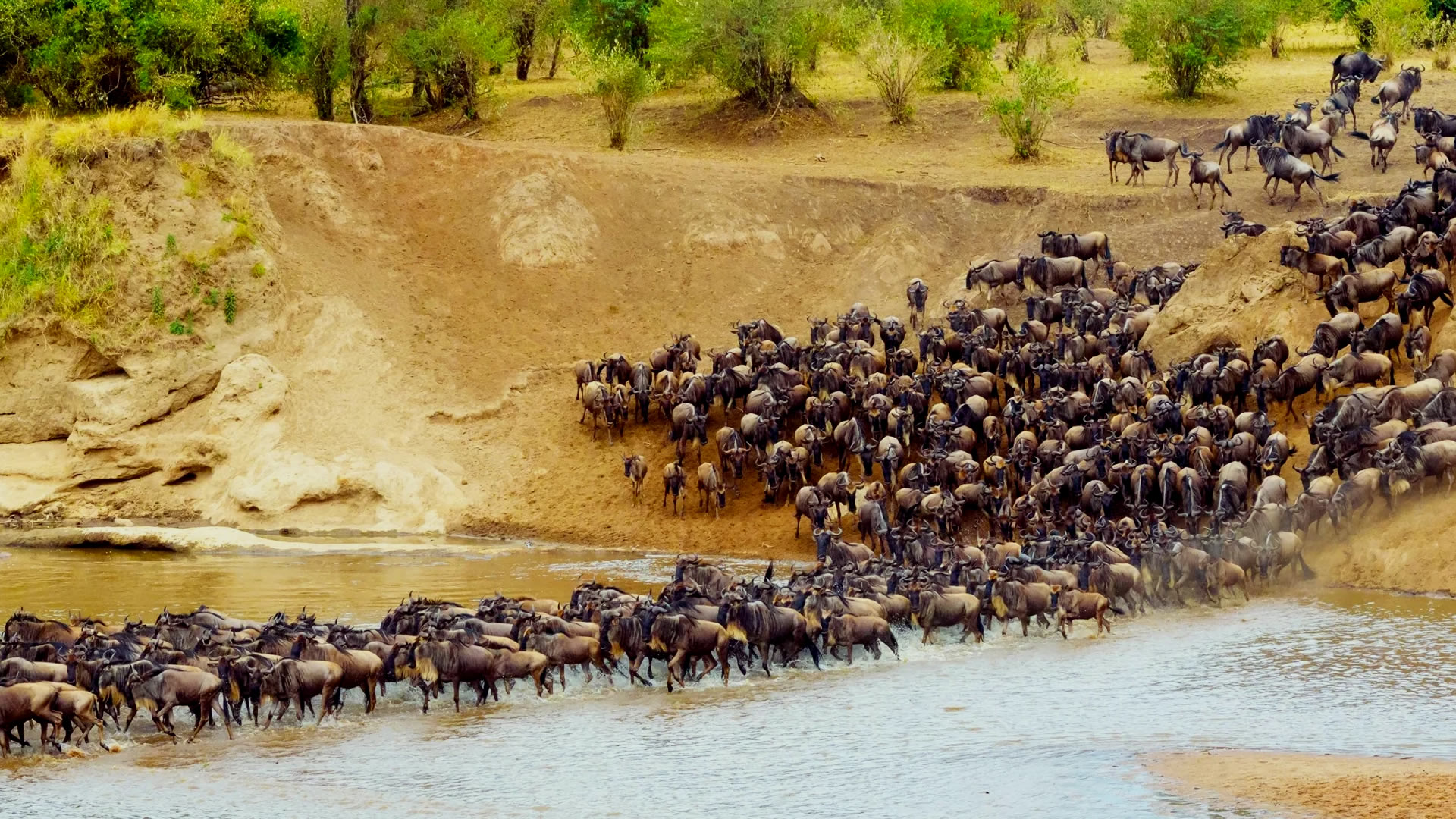 5 Days Migration Fly Package