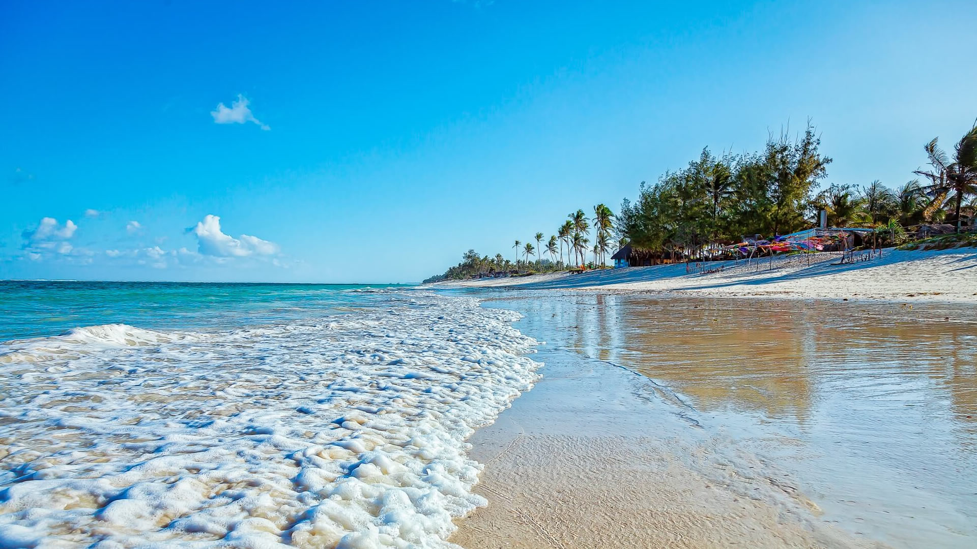 7 Days Pristine Bush and Beach