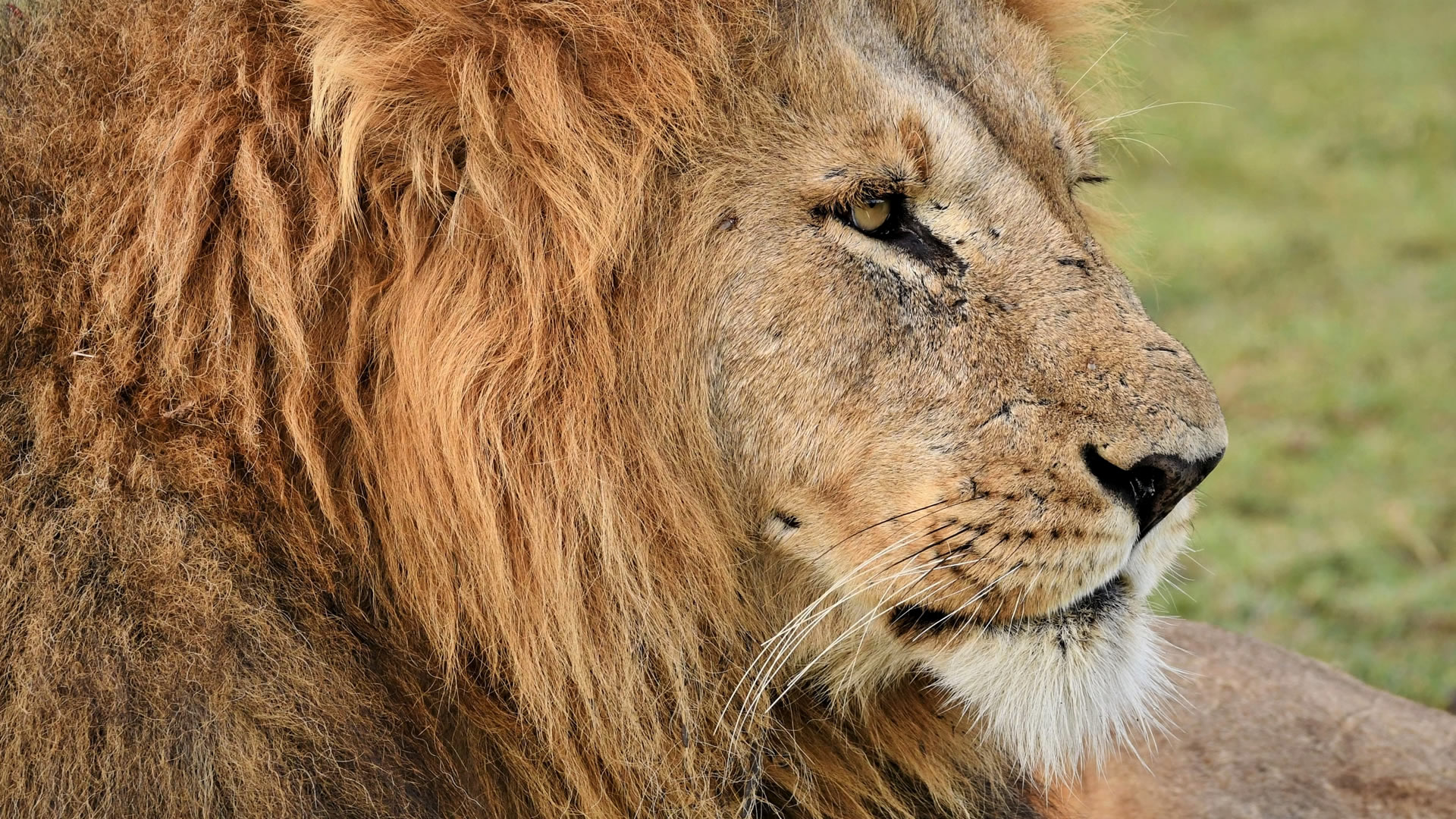 8 Days Kenya's Untamed Luxury Safari 