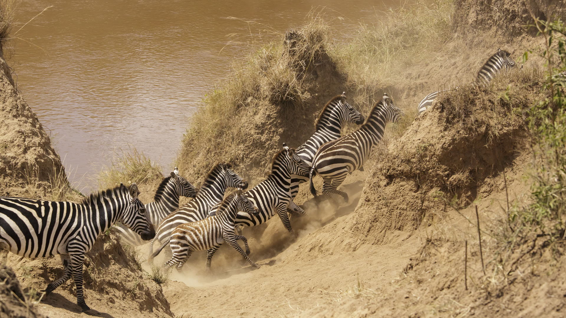 9 Days Exclusive Kenya Safari